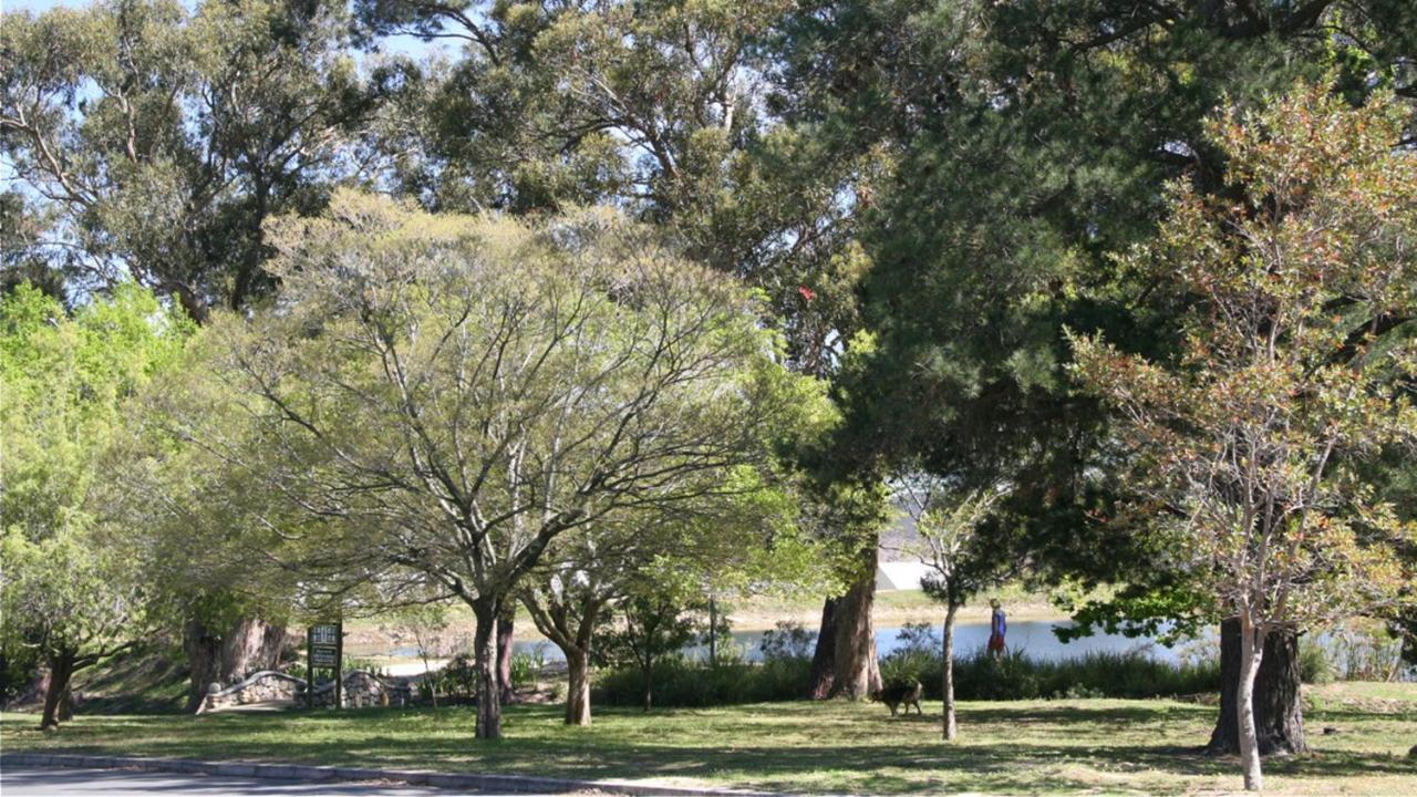 Daisy Place Franschhoek Eksteriør billede