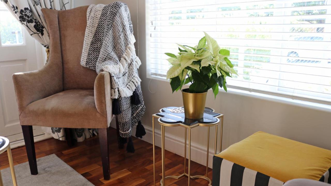 Daisy Place Franschhoek Eksteriør billede